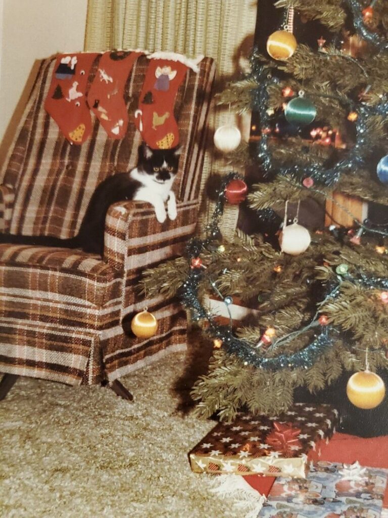 Vintage family photo: the family cat beside the Christmas tree on Christmas morning